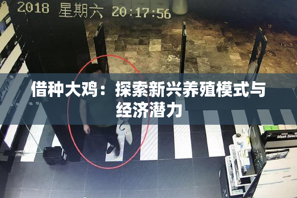 借种大鸡：探索新兴养殖模式与经济潜力