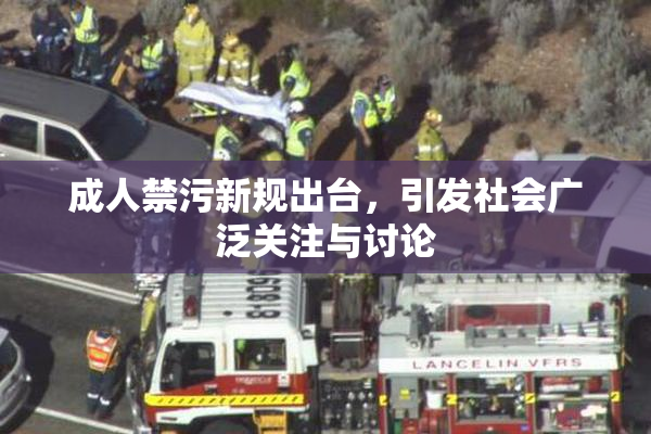成人禁污新规出台，引发社会广泛关注与讨论