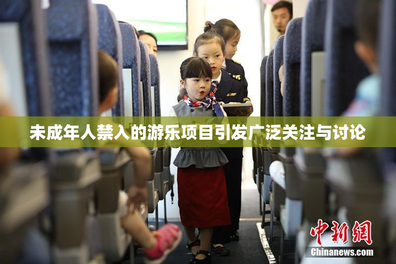 未成年人禁入的游乐项目引发广泛关注与讨论
