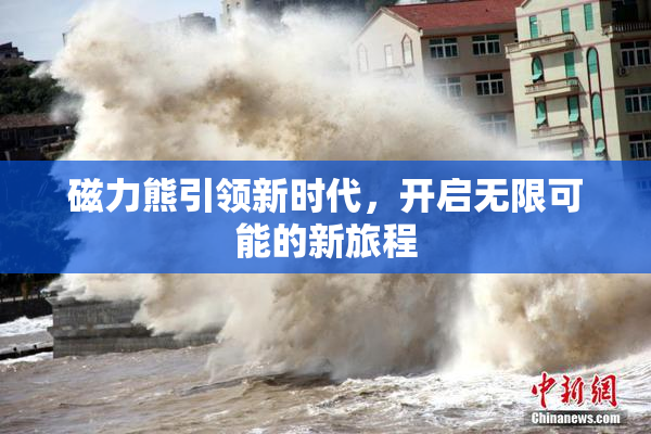 磁力熊引领新时代，开启无限可能的新旅程