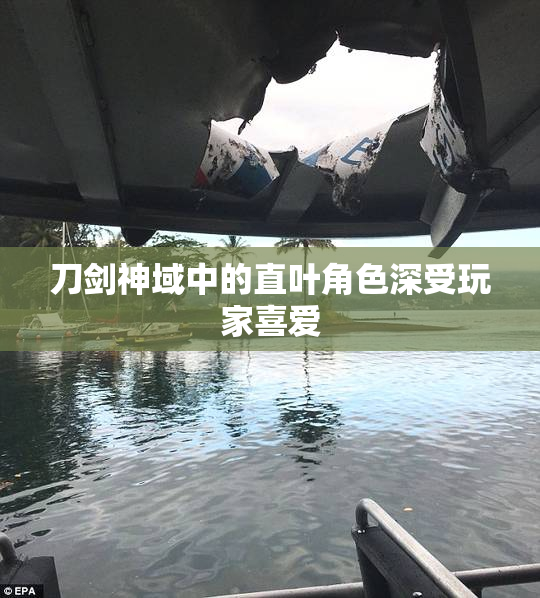刀剑神域中的直叶角色深受玩家喜爱