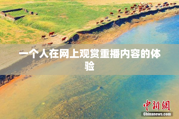 一个人在网上观赏重播内容的体验