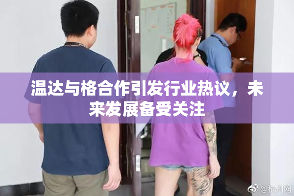 温达与格合作引发行业热议，未来发展备受关注
