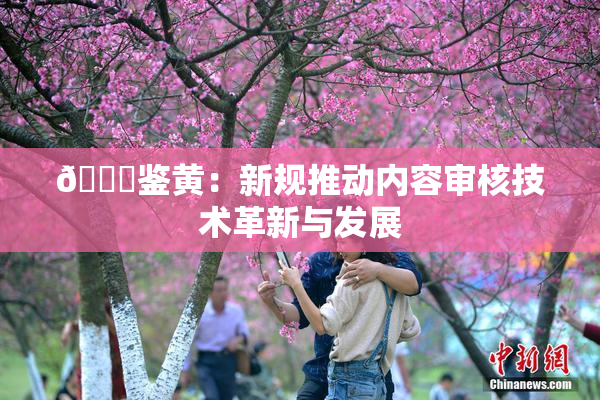 🔞鉴黄：新规推动内容审核技术革新与发展