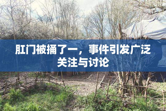 肛门被捅了一，事件引发广泛关注与讨论