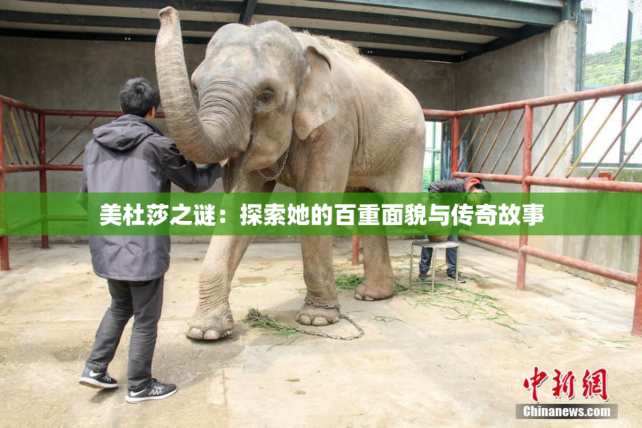 美杜莎之谜：探索她的百重面貌与传奇故事