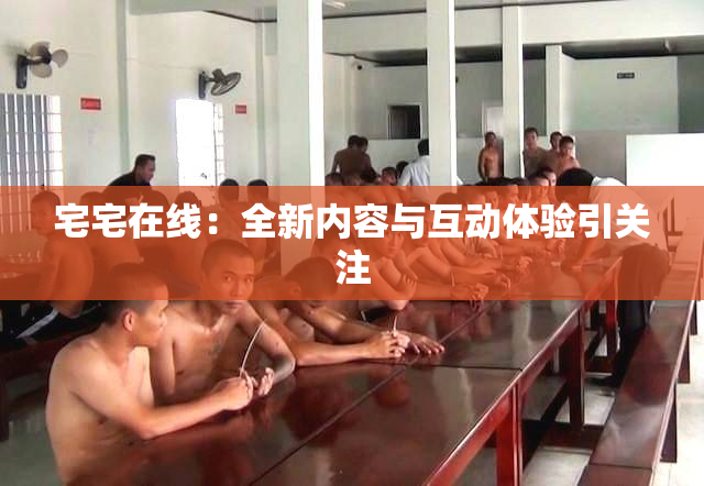 宅宅在线：全新内容与互动体验引关注