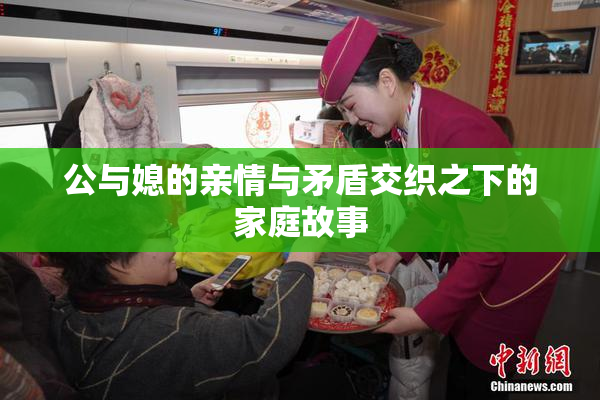 公与媳的亲情与矛盾交织之下的家庭故事