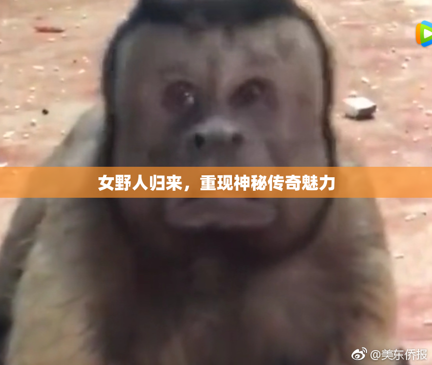 女野人归来，重现神秘传奇魅力