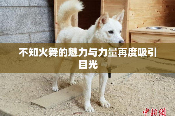 不知火舞的魅力与力量再度吸引目光