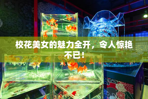 校花美女的魅力全开，令人惊艳不已！
