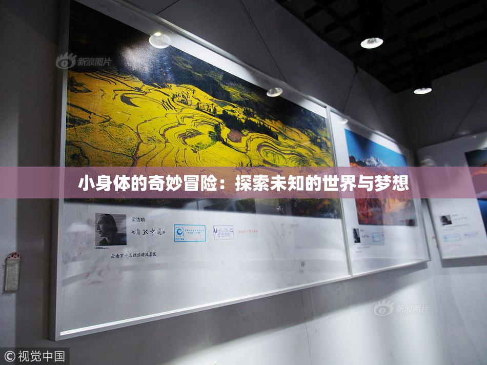 小身体的奇妙冒险：探索未知的世界与梦想