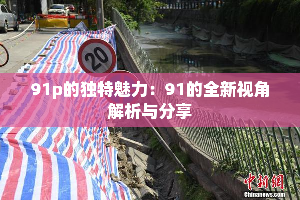 91p的独特魅力：91的全新视角解析与分享