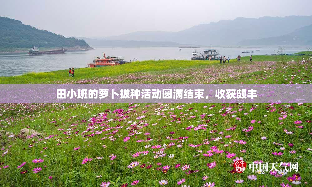 田小班的萝卜拔种活动圆满结束，收获颇丰