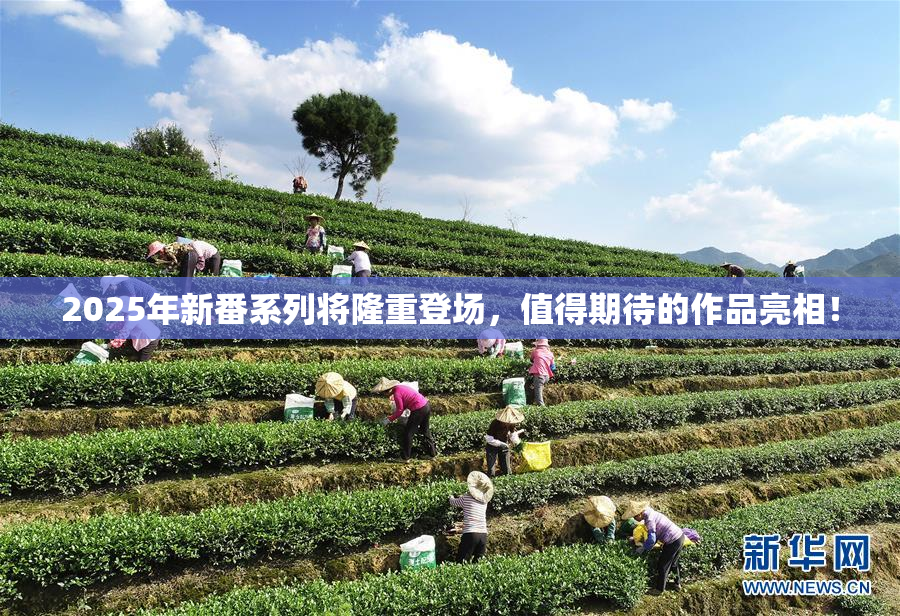 2025年新番系列将隆重登场，值得期待的作品亮相！