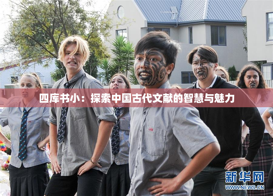 四库书小：探索中国古代文献的智慧与魅力