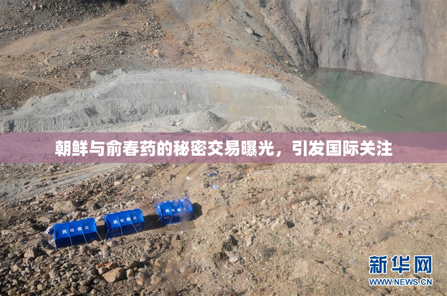朝鲜与俞春药的秘密交易曝光，引发国际关注