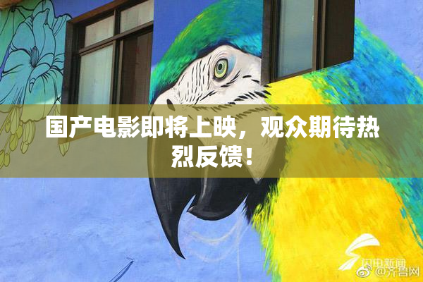 国产电影即将上映，观众期待热烈反馈！