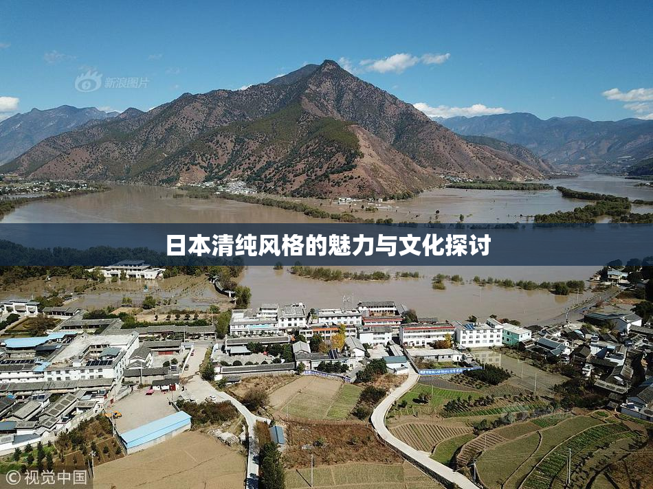 日本清纯风格的魅力与文化探讨