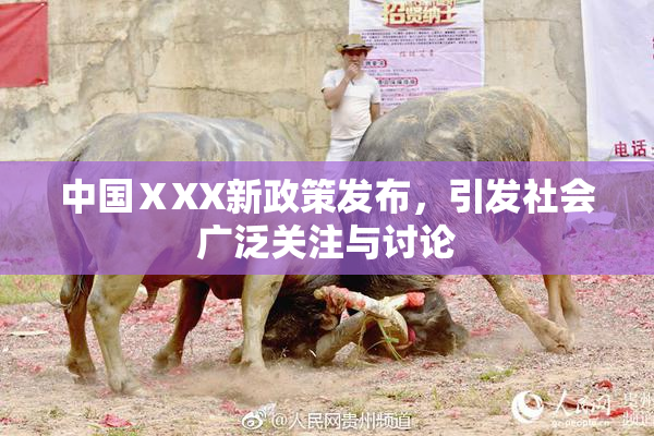 中国ⅩXX新政策发布，引发社会广泛关注与讨论