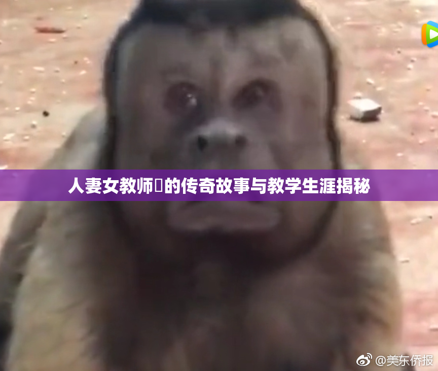 人妻女教师姫的传奇故事与教学生涯揭秘