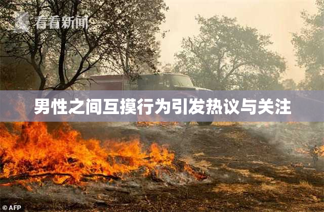 男性之间互摸行为引发热议与关注