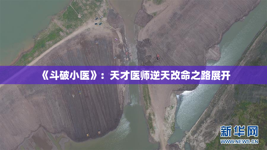 《斗破小医》：天才医师逆天改命之路展开