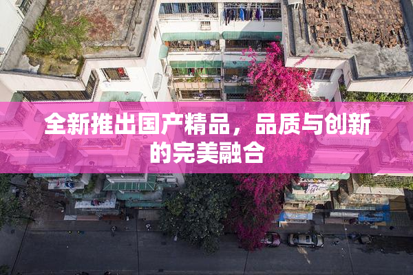 全新推出国产精品，品质与创新的完美融合