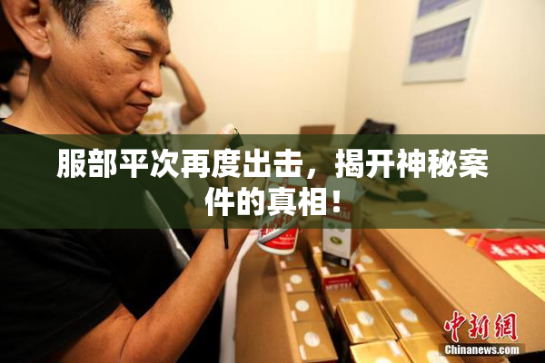 服部平次再度出击，揭开神秘案件的真相！