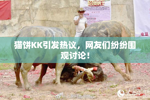 猫饼KK引发热议，网友们纷纷围观讨论！