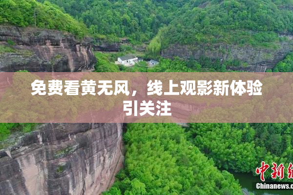 免费看黄无风，线上观影新体验引关注