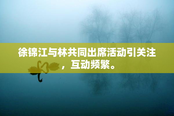 徐锦江与林共同出席活动引关注，互动频繁。
