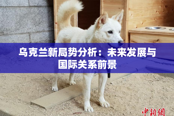 乌克兰新局势分析：未来发展与国际关系前景