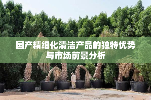 国产精细化清洁产品的独特优势与市场前景分析