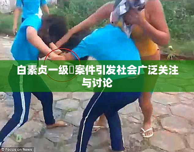 白素贞一级婬案件引发社会广泛关注与讨论