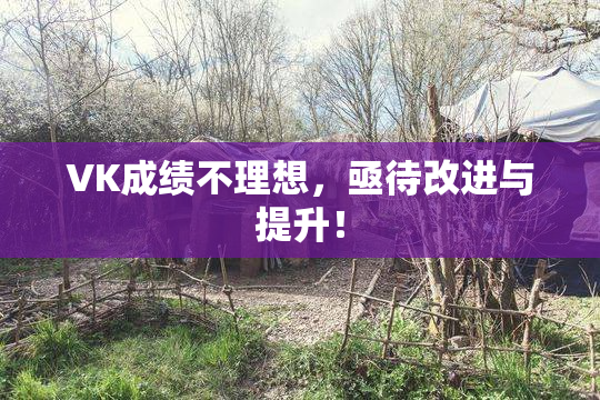 VK成绩不理想，亟待改进与提升！