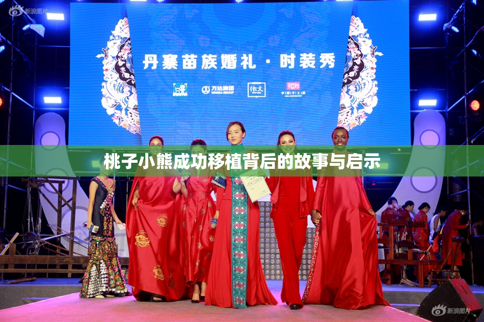 桃子小熊成功移植背后的故事与启示