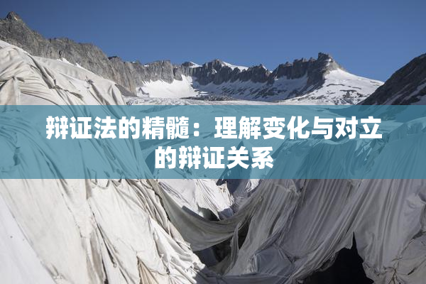 辩证法的精髓：理解变化与对立的辩证关系