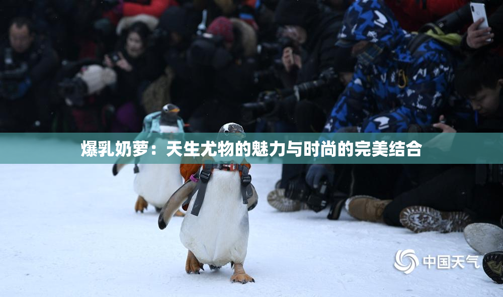 爆乳奶萝：天生尤物的魅力与时尚的完美结合