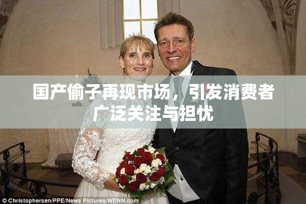 国产偷子再现市场，引发消费者广泛关注与担忧