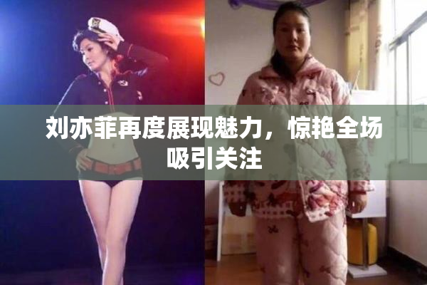 刘亦菲再度展现魅力，惊艳全场吸引关注