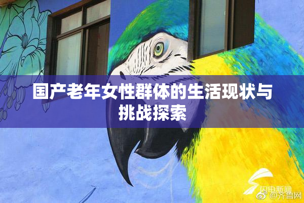 国产老年女性群体的生活现状与挑战探索
