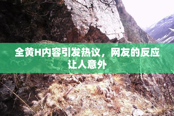 全黄H内容引发热议，网友的反应让人意外