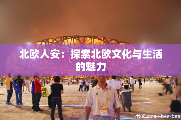 北欧人安：探索北欧文化与生活的魅力