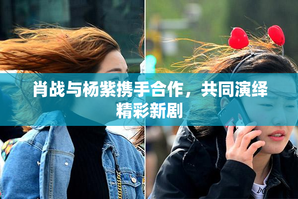肖战与杨紫携手合作，共同演绎精彩新剧