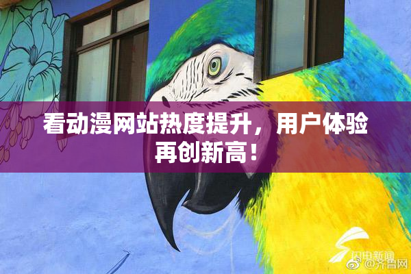 看动漫网站热度提升，用户体验再创新高！