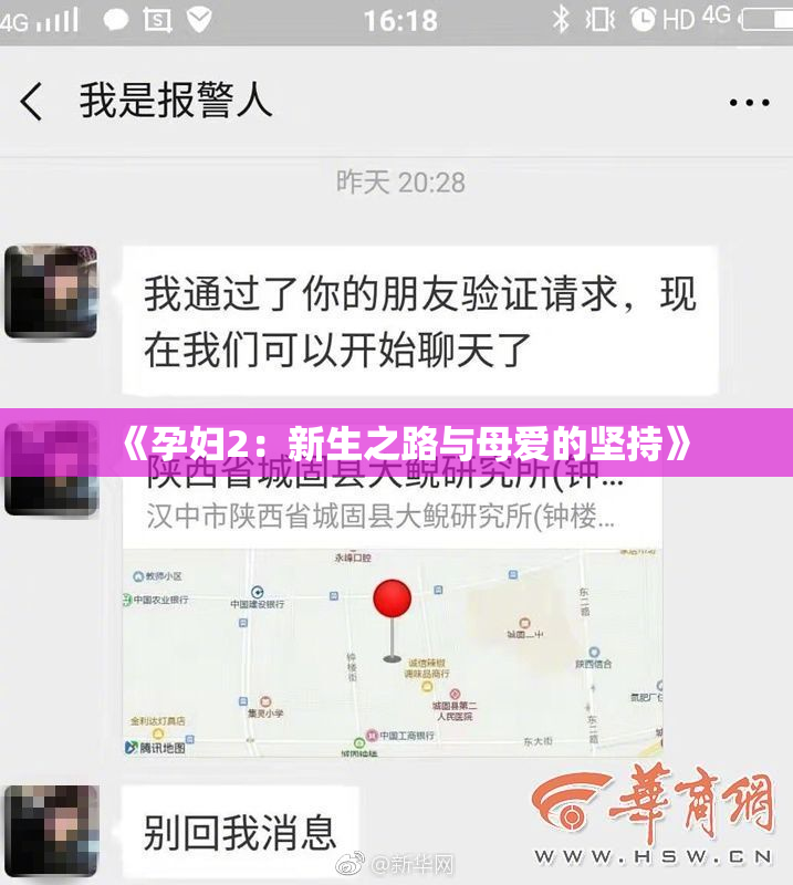 《孕妇2：新生之路与母爱的坚持》