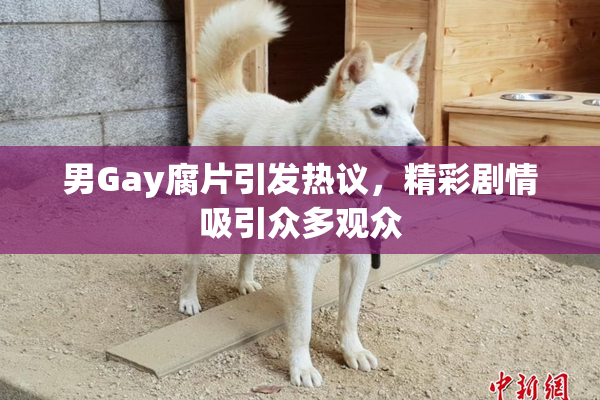 男Gay腐片引发热议，精彩剧情吸引众多观众