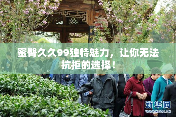 蜜臀久久99独特魅力，让你无法抗拒的选择！
