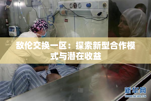 敌伦交换一区：探索新型合作模式与潜在收益